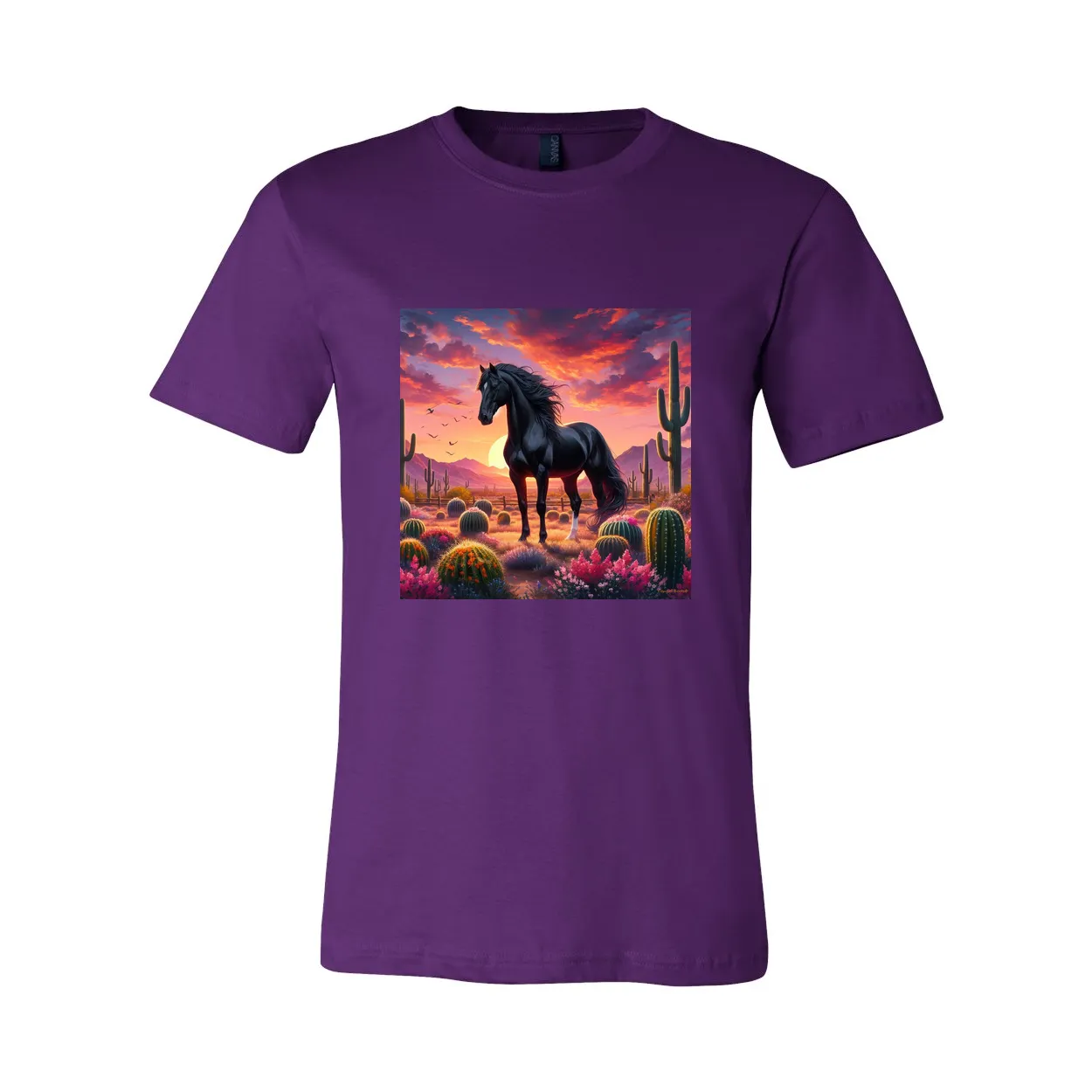 Black Stallion Desert Sunset Design T Shirts