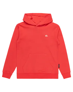 Boys Basic Hoodie in Cayenne