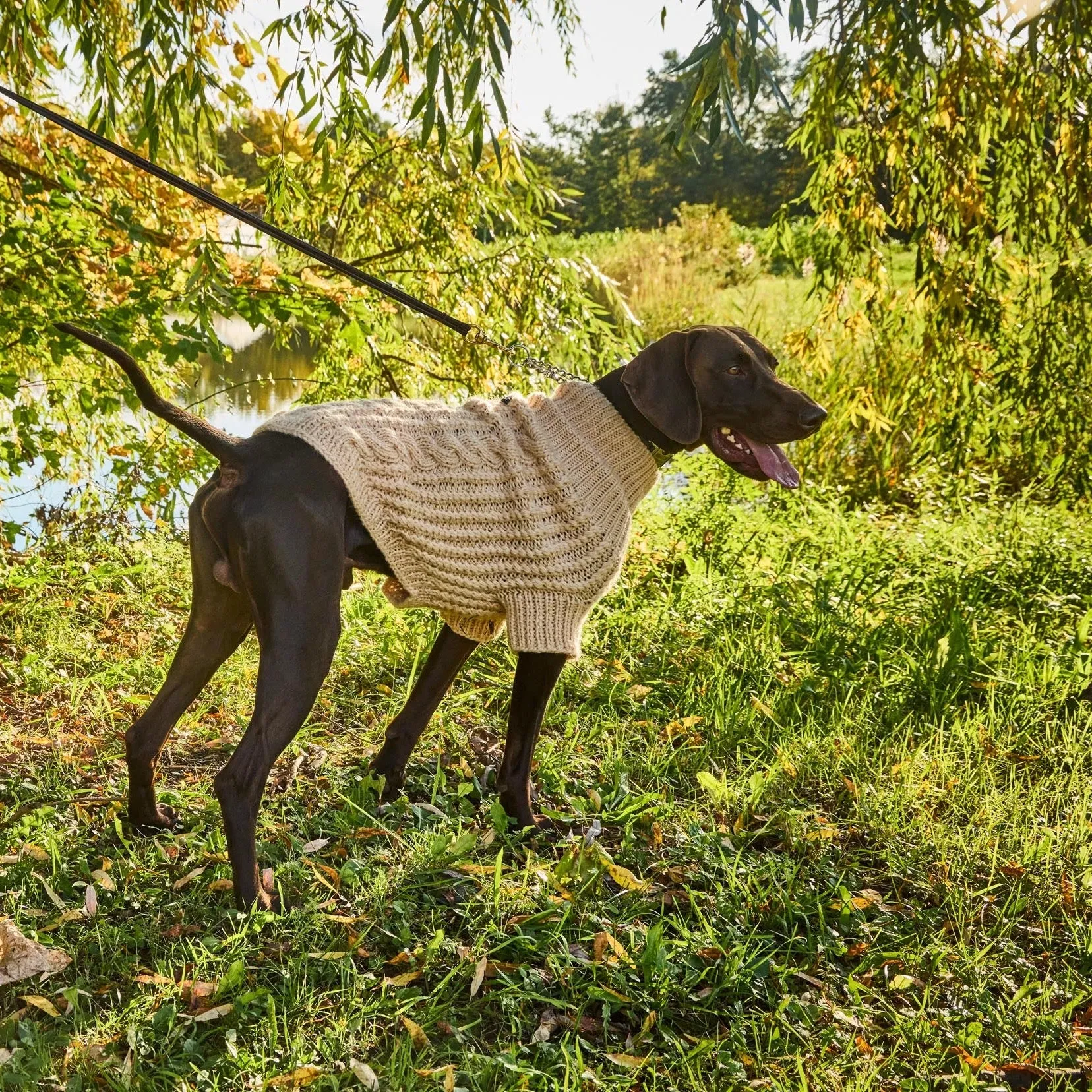 Fisherman Sweater