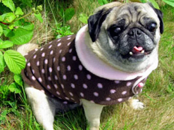 Fleece Jacket: Lots of Dots