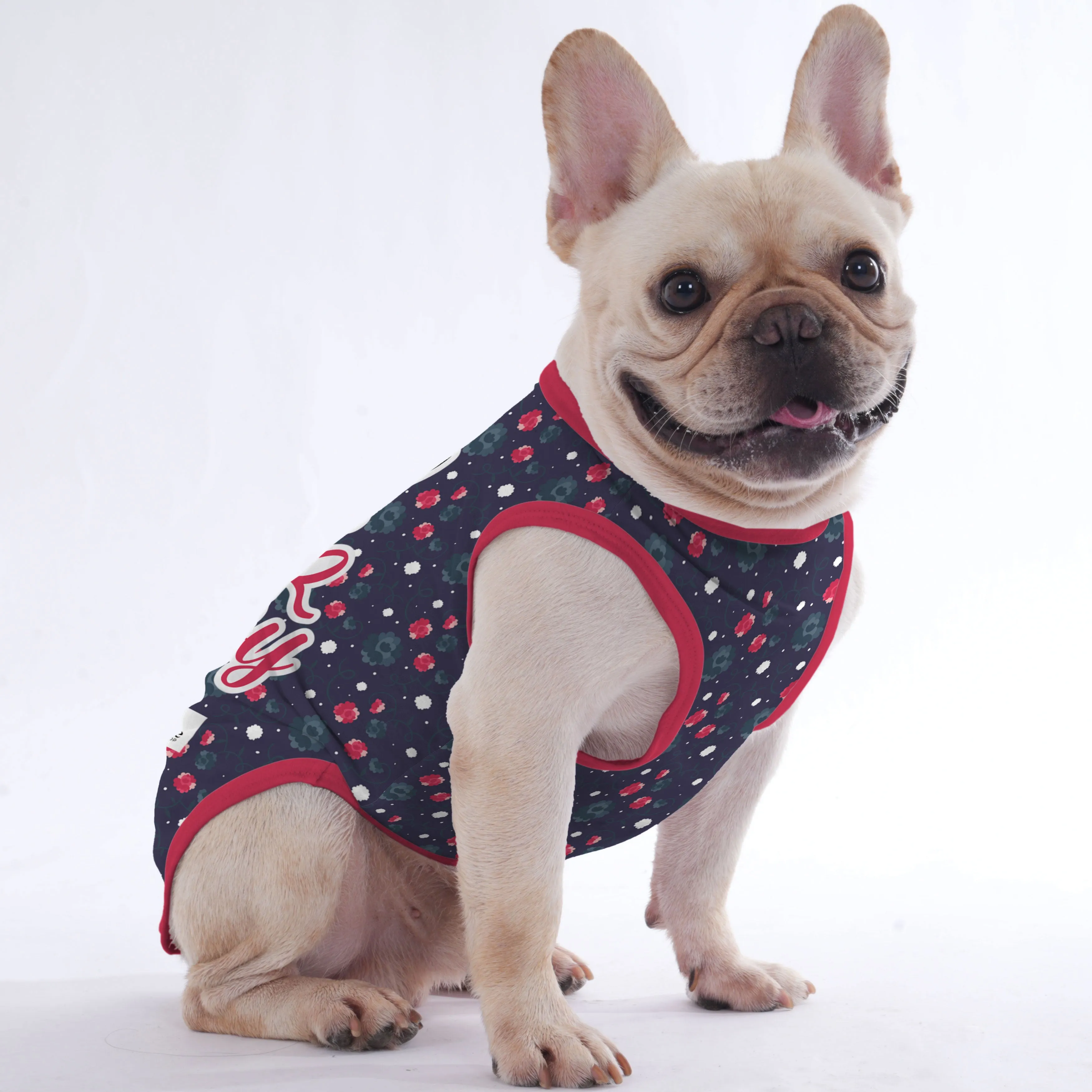 Penelope -  Shirt for Frenchies - Frenchie Shop Original